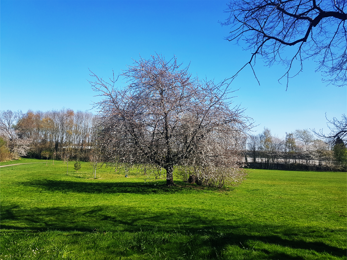 Caldon castle park(1)